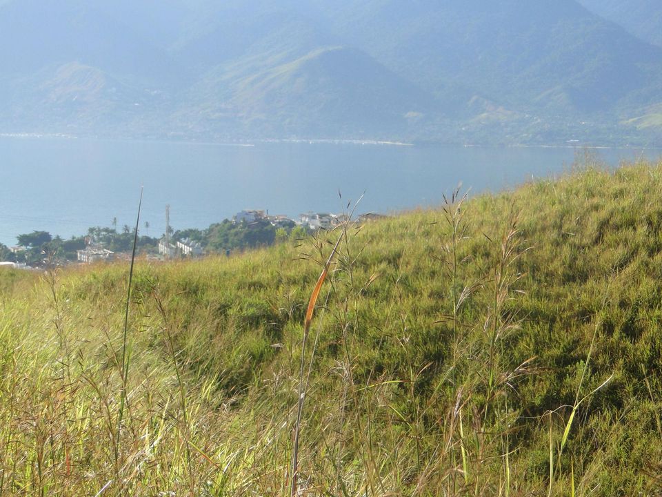 Foto - São Sebastião - Pontal da Cruz